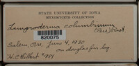 Image Associated With the Occurence